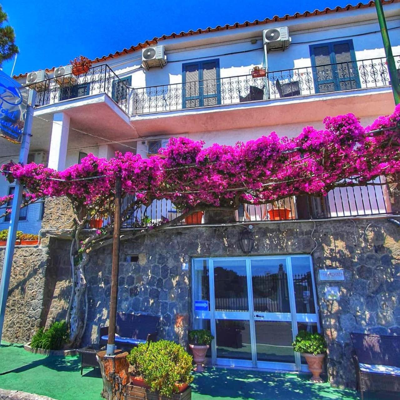 Hotel Bellavista Ischia Exteriör bild